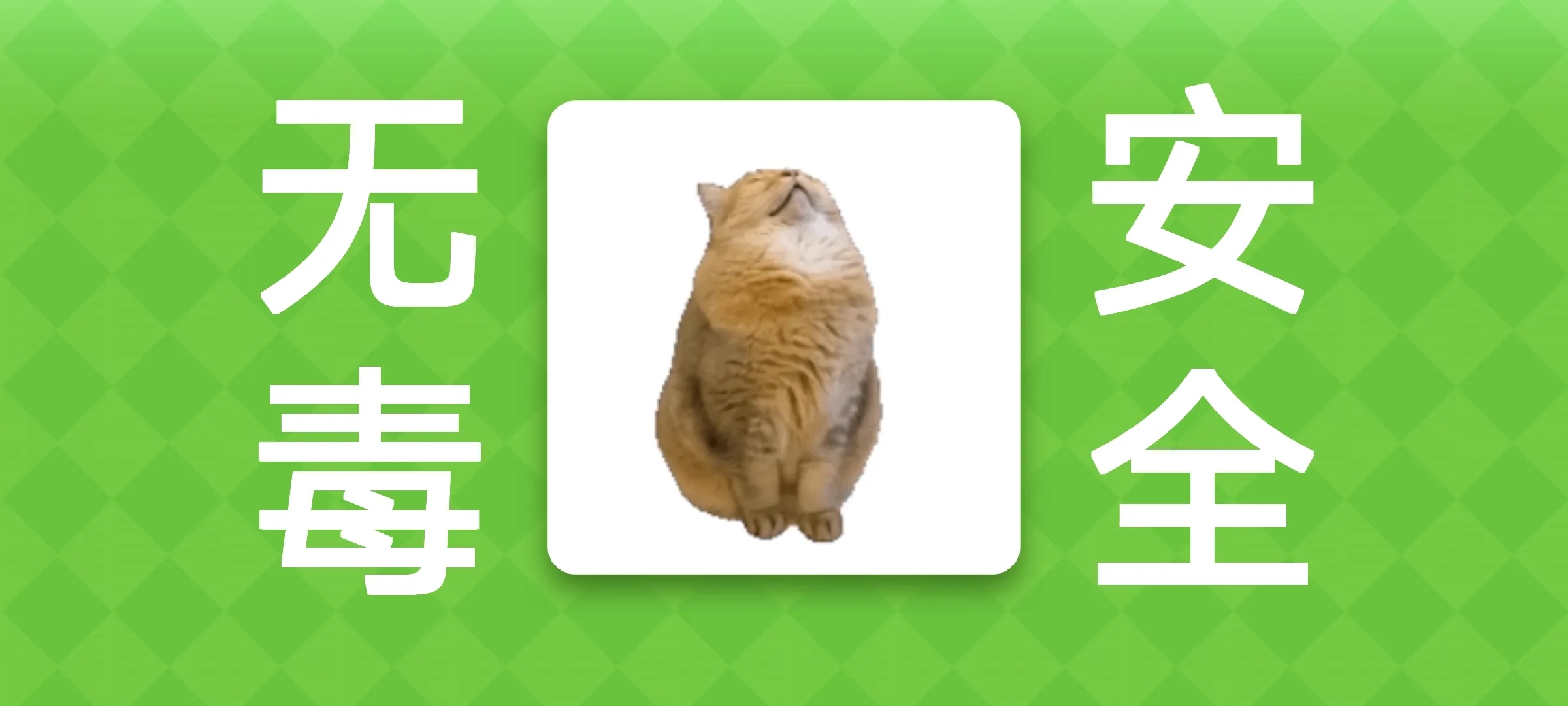 Meme的毒药