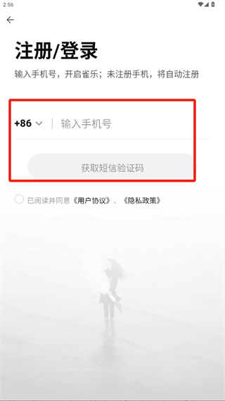 雀乐