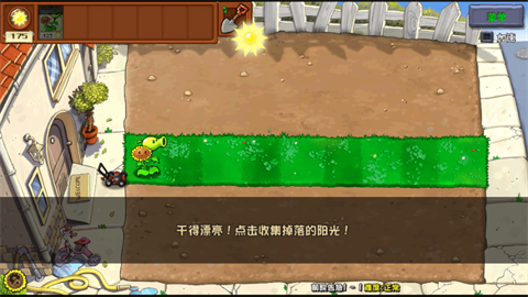 植物大战僵尸杂交重制版
