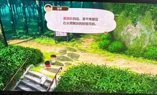 蜡笔小新煤炭镇的小白正版