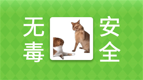 女巫的毒药猫meme版手机版