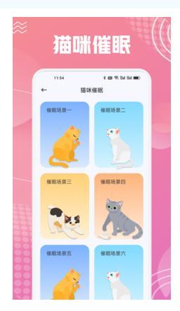 开心猫舍喵语