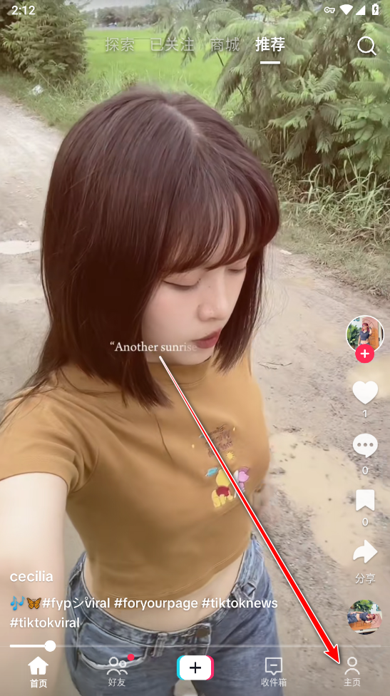 tiktok全球版