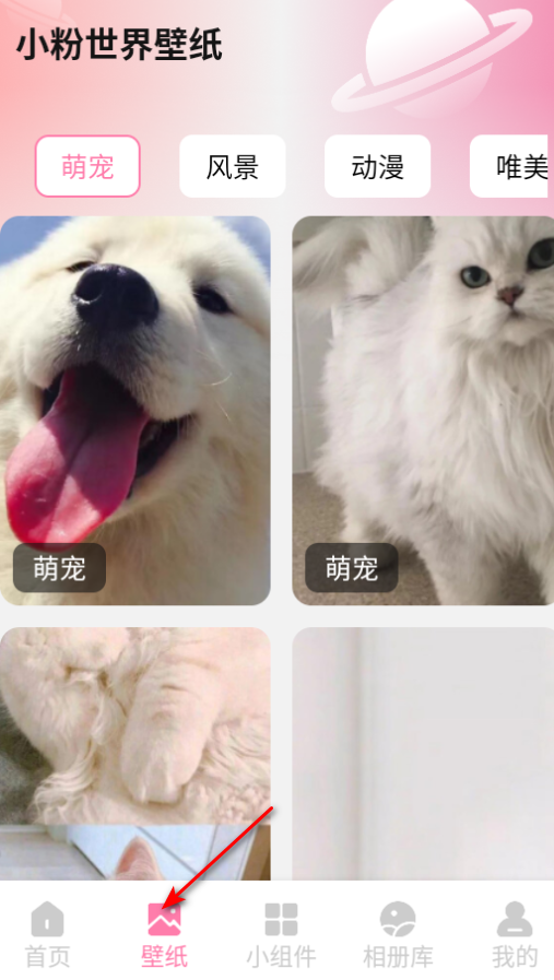 小粉世界壁纸