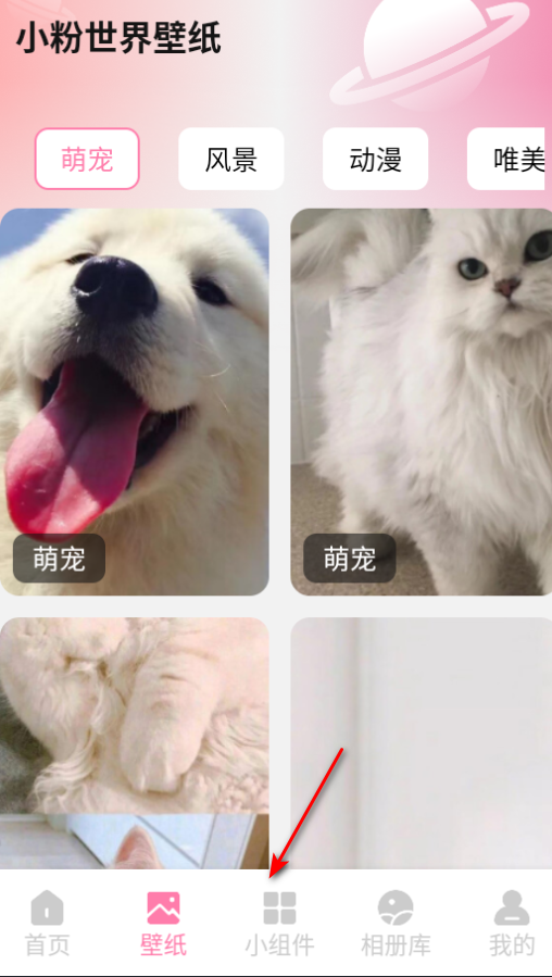小粉世界壁纸