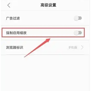 白狐浏览器最新版