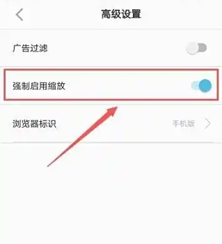 白狐浏览器最新版