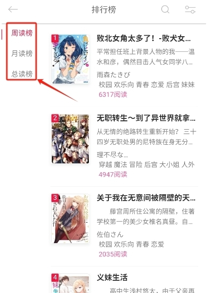 幻梦轻小说