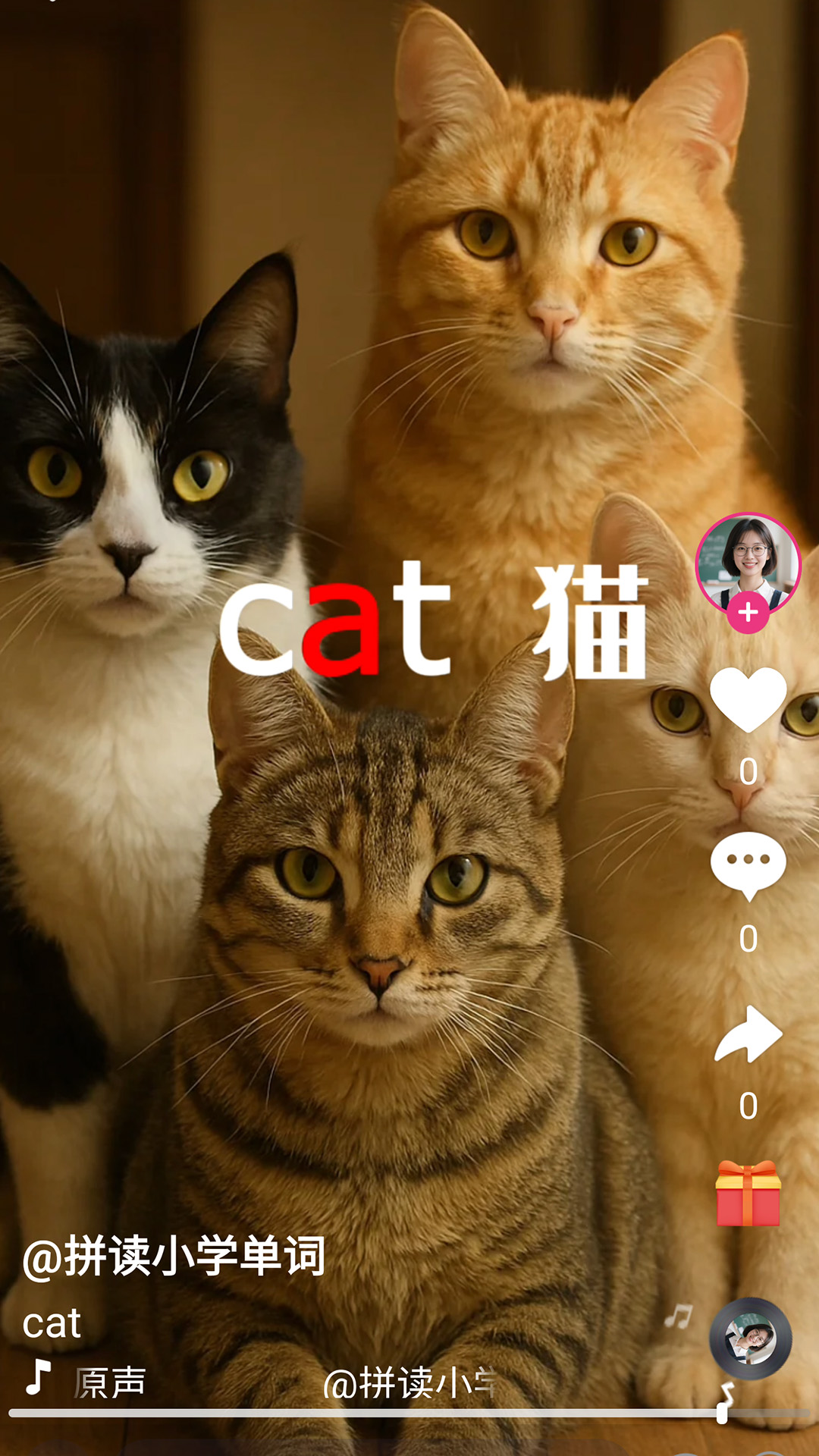 刷单词