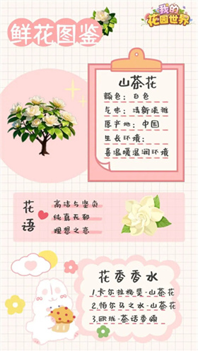 我的花园世界官方版