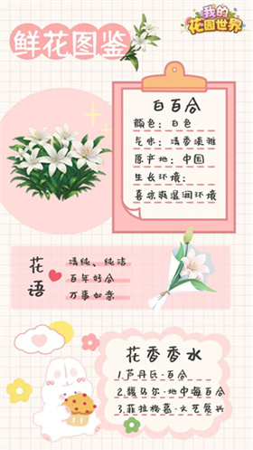 我的花园世界官方版